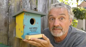 J’ai installé un nichoir au jardin, mais aucun oiseau n’y vient : la vraie raison expliquée