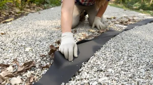 « Je ne désherbe plus mes graviers » : la méthode des paysagistes, et voici pourquoi elle marche