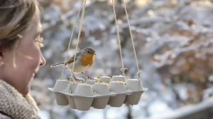 Ne jetez plus vos boîtes d’œufs : elles attirent les oiseaux au jardin et sont utiles tout l’hiver
