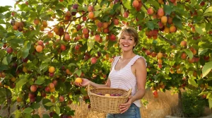 Cet arbre donne des fruits tout l’été, et pourtant très peu pensent à le planter au jardin